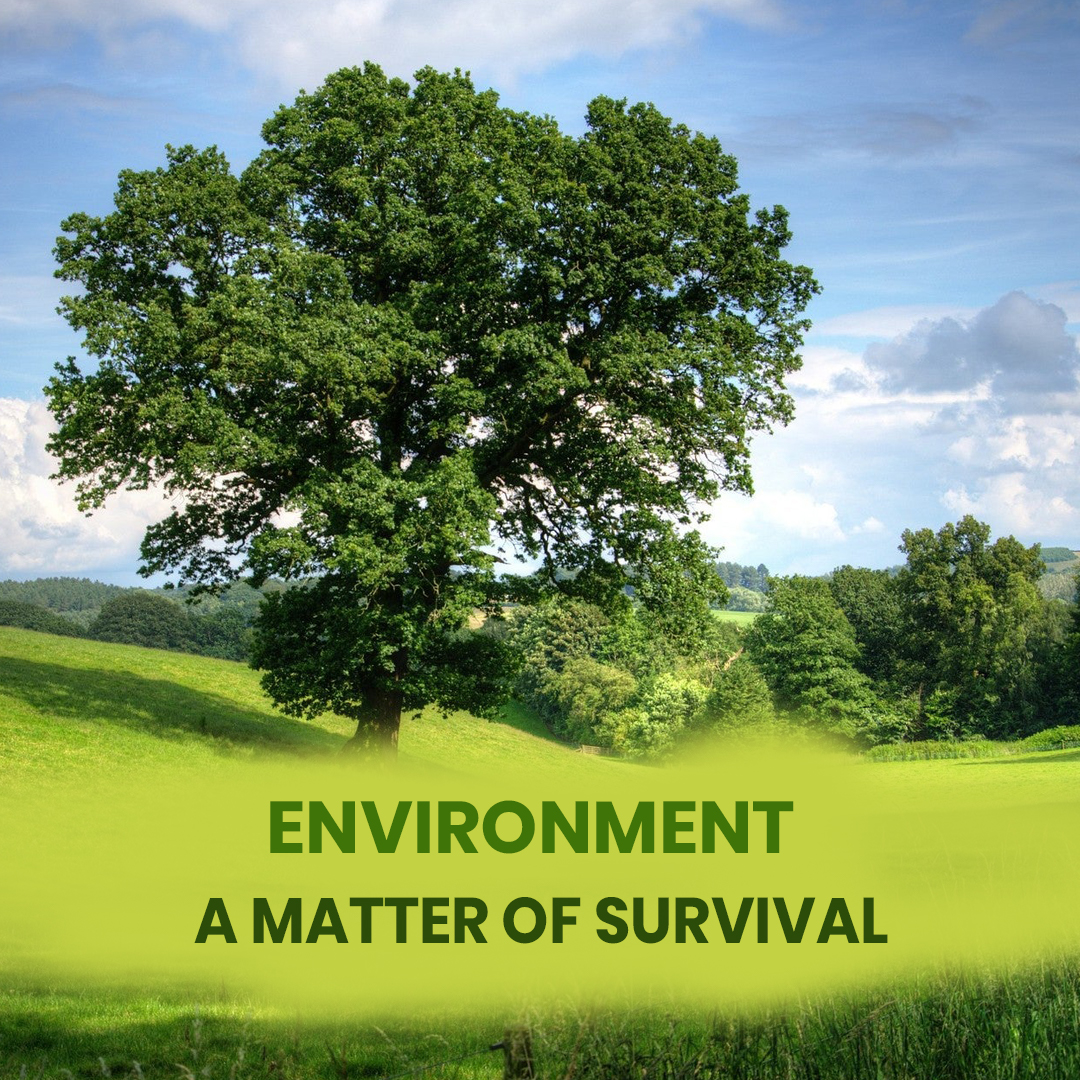 Environment: A matter of Survival