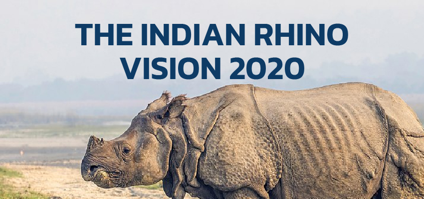 THE INDIAN  RHINO  VISION 2020