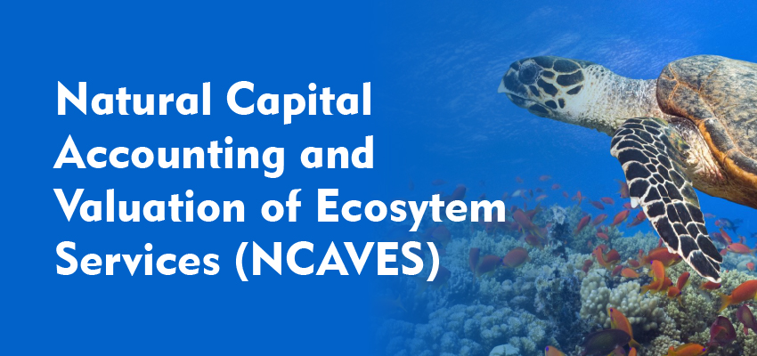 Natural Capital Accounting and  Valuation of Ecosytem Services (NCAVES)