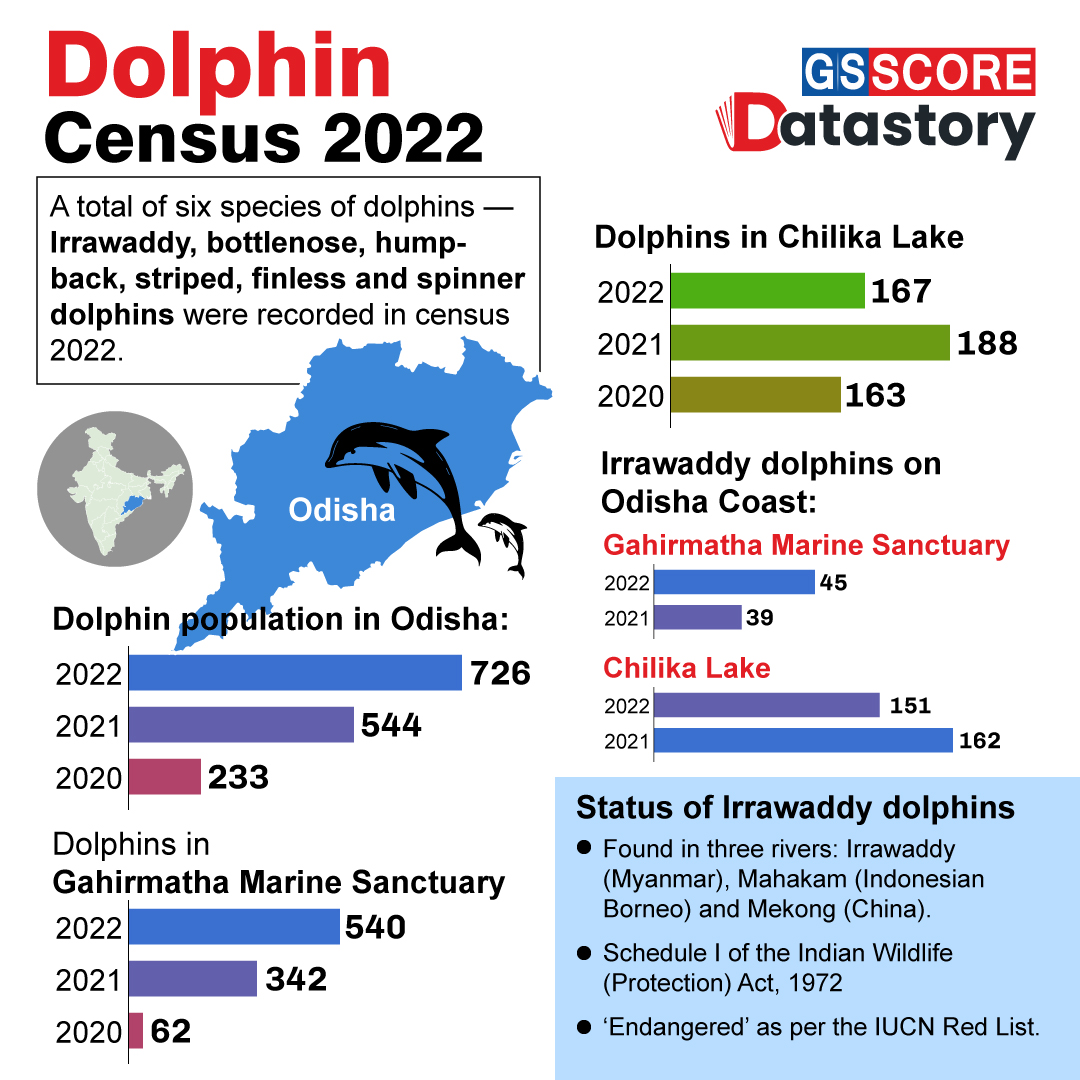 DATA STORY : Dolphin Census 2022