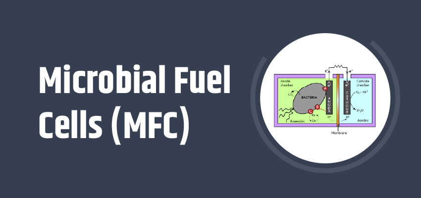 Microbial fuel cells (MFC)