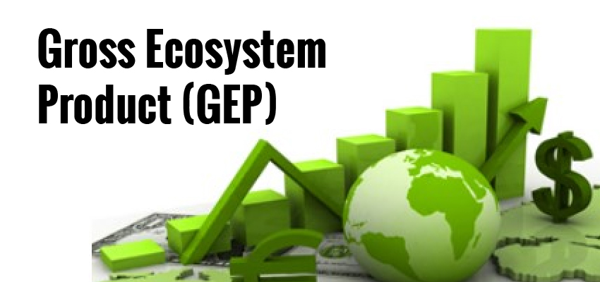 Gross Ecosystem Product (GEP)
