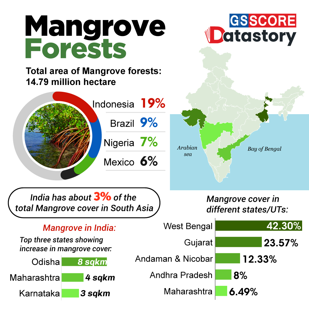DATA STORY : Mangrove Forests