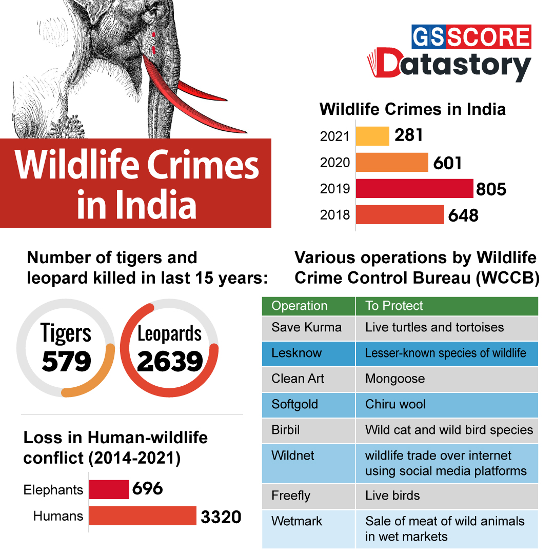 DATA STORY : Wildlife Crimes in India - GS SCORE