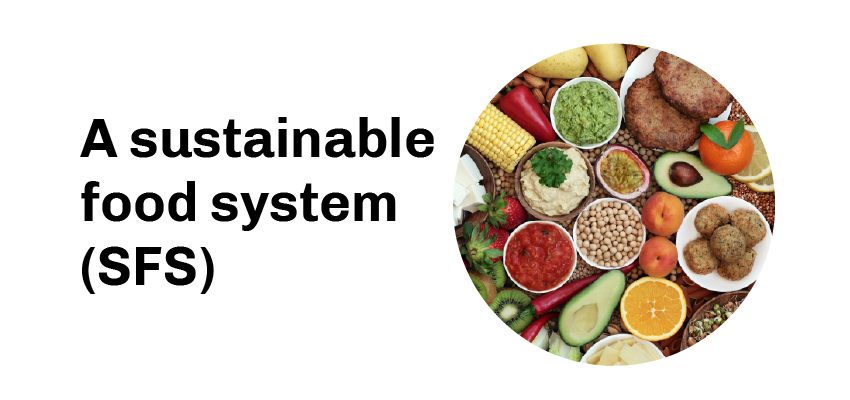 A sustainable food system (SFS)