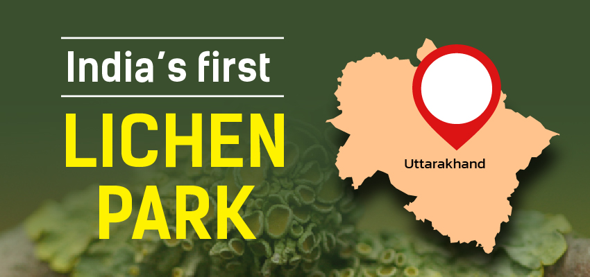 India's First Lichen Park